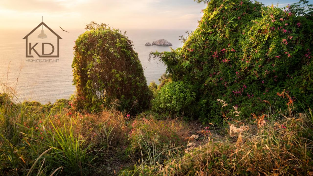 Decadgarden The Ultimate Guide to Creating Your Outdoor Paradise